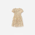 Champagne Sequin Embroidered Dress