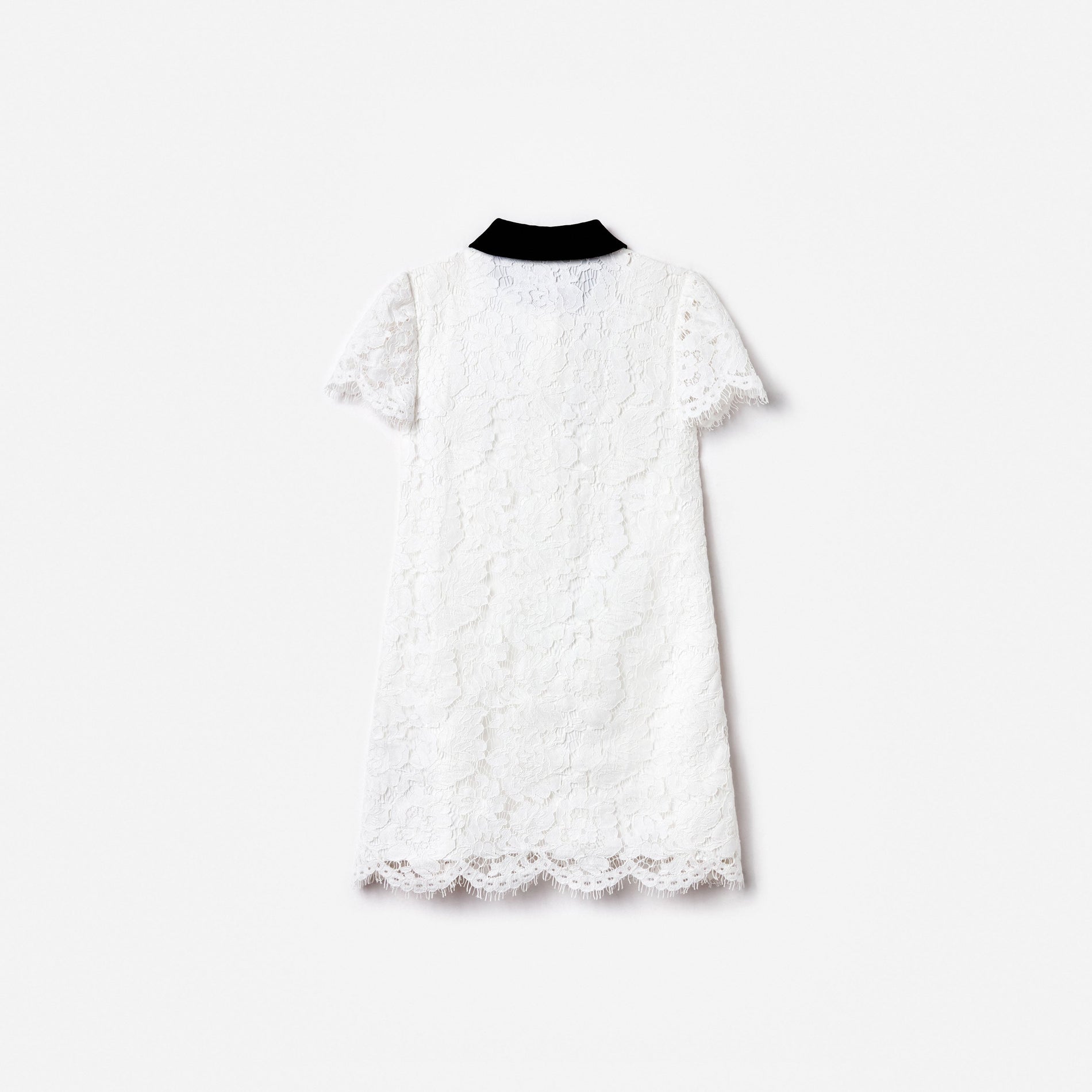 White Lace Contrast Collar Dress