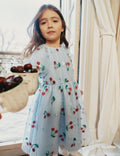 Blue Cherry Sequin Mesh Dress
