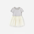 Grey Knit Tulle Dress