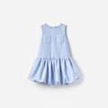 Blue Taffeta Dress