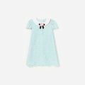 Mint Lace Collared Dress