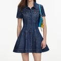 Rhinestone Stripe Denim Mini Dress