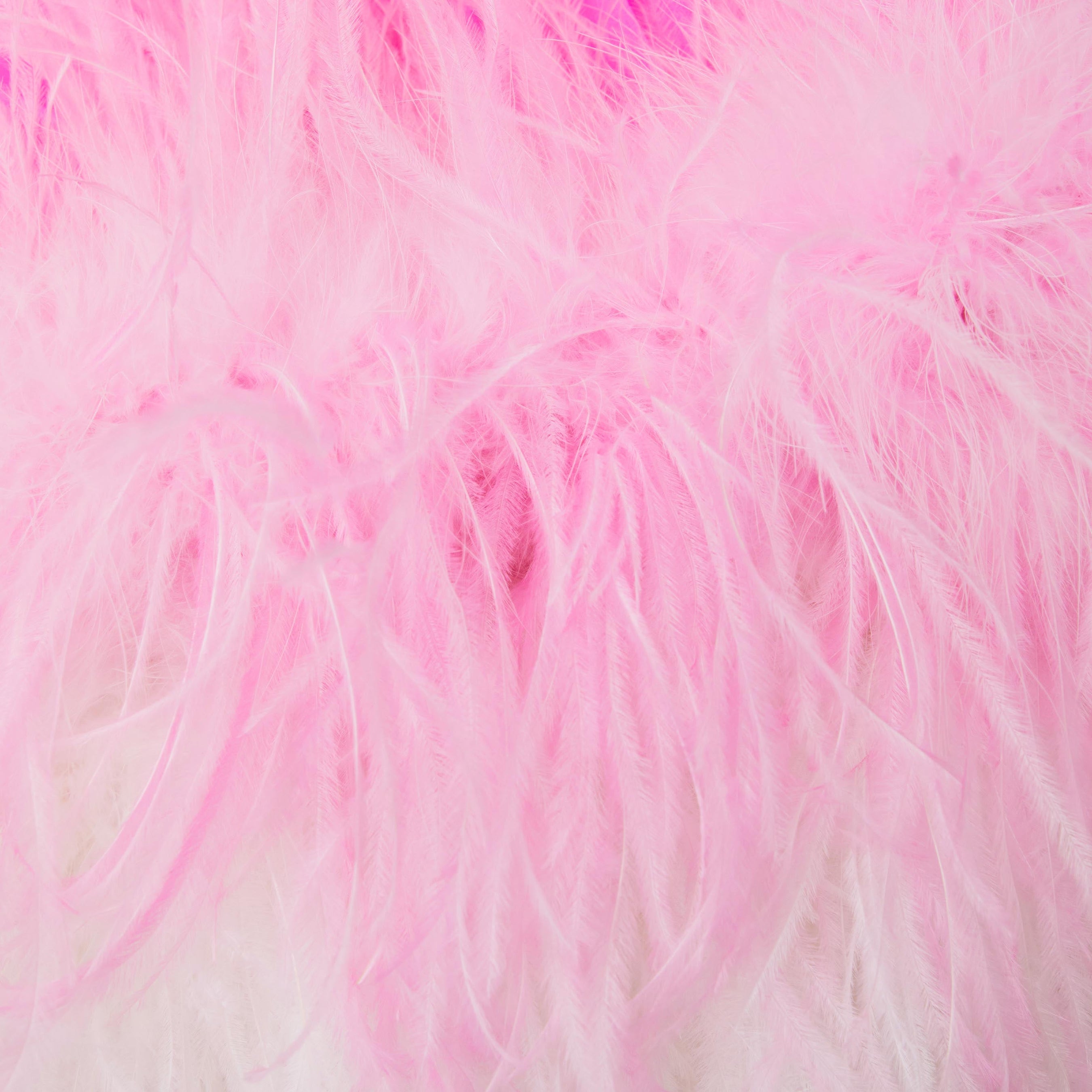 Pink Chiffon Feather Midi Dress